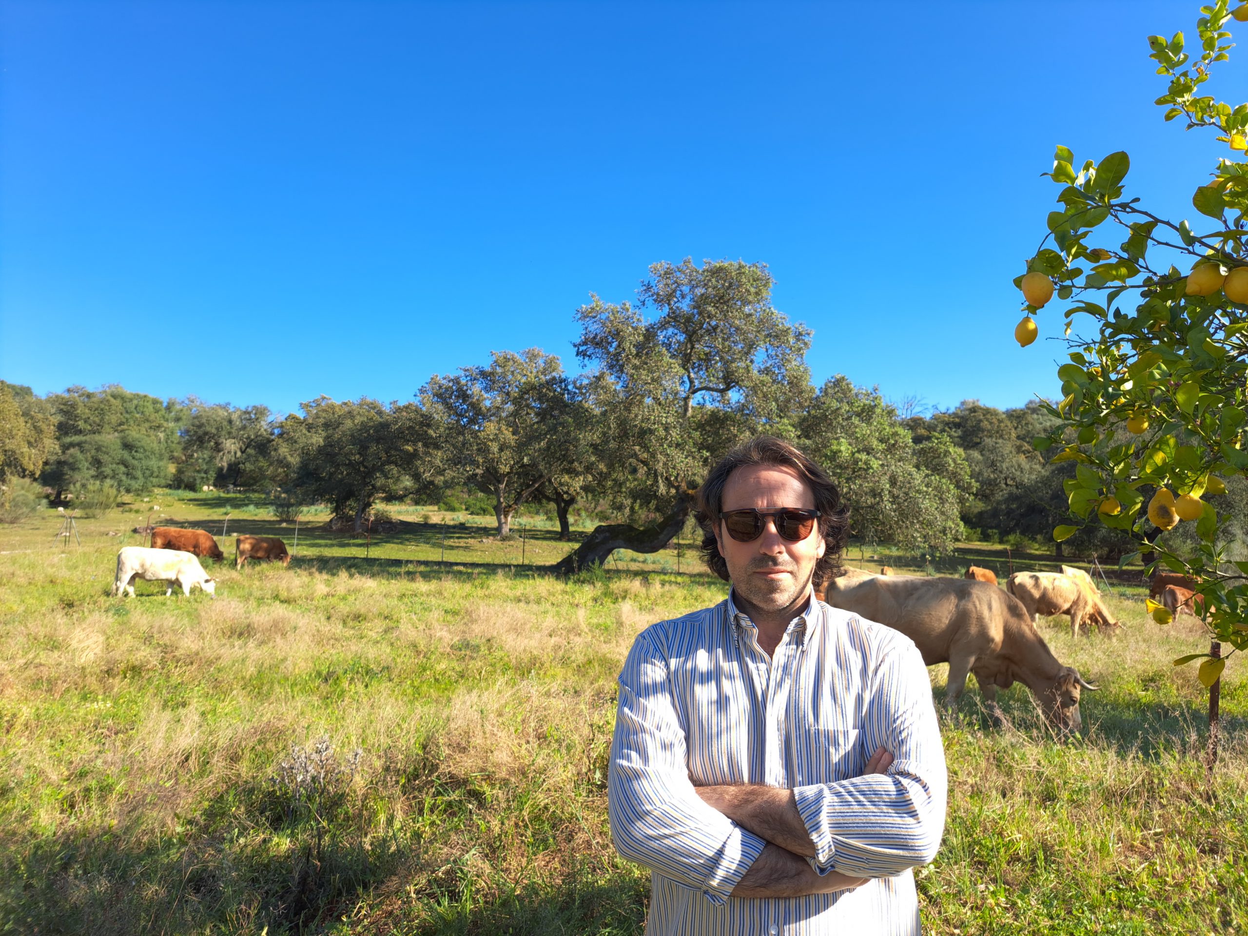 Entrevista ganadero vacas